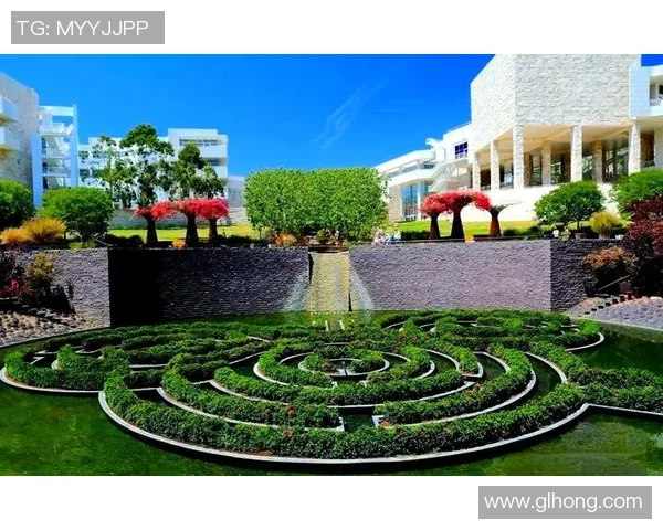 探索多元体育运动如何塑造健康积极生活方式与社会凝聚力全面提升魅力